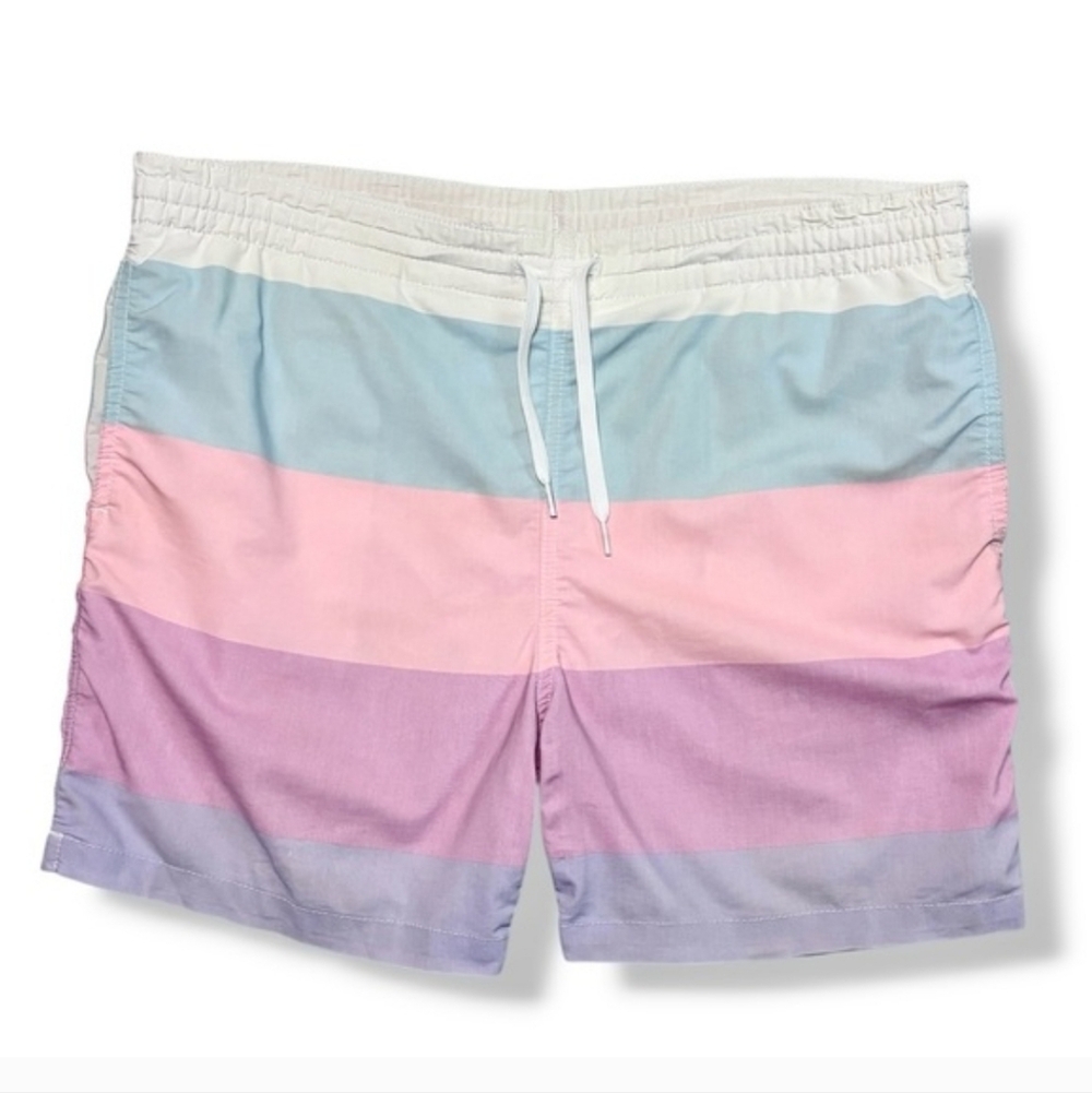 CHUBBIES Pastel Striped Swim Trunks Size Medium